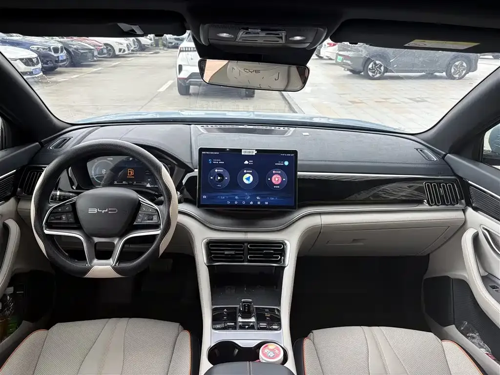 BYD PLUS New Energy — фото 4