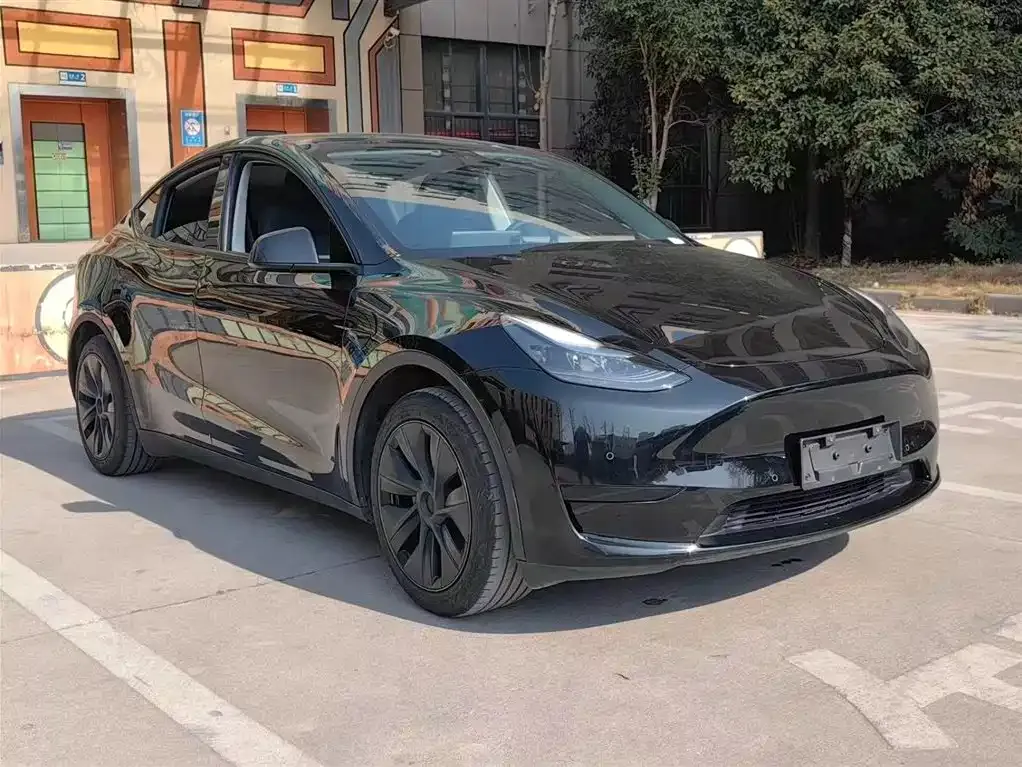 Tesla Model Y — фото 8