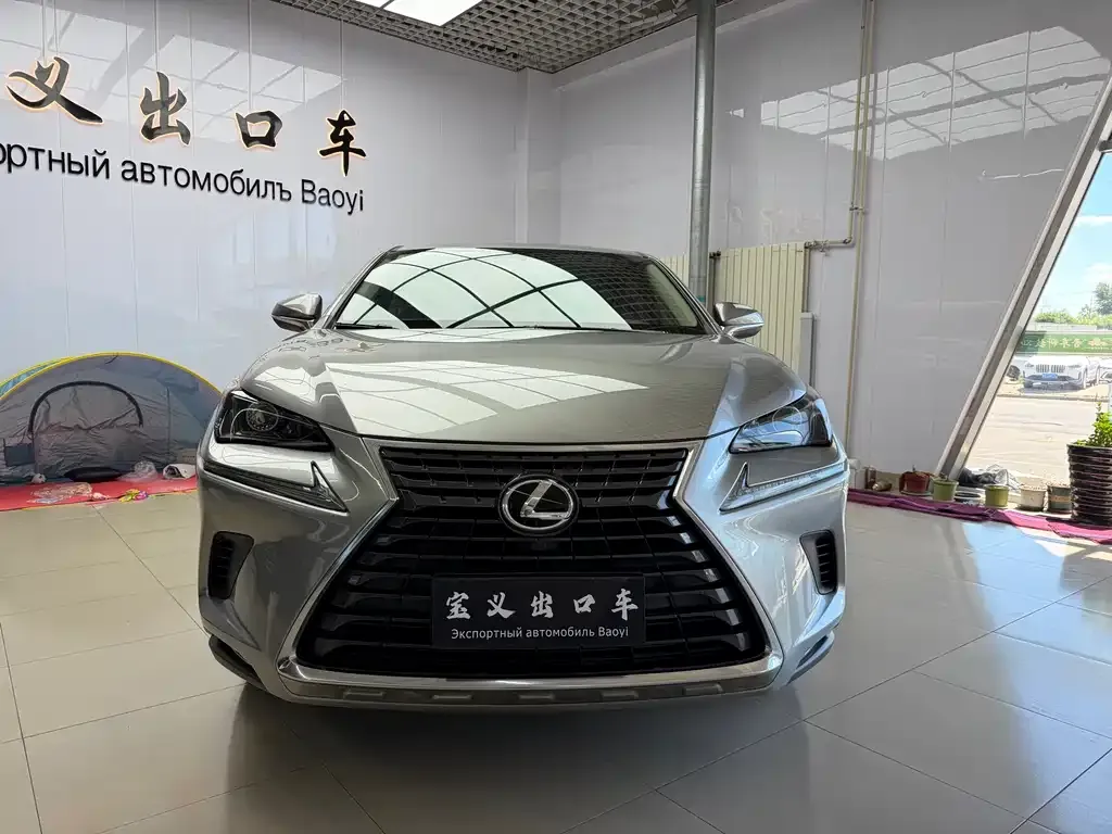 Lexus NX — фото 4