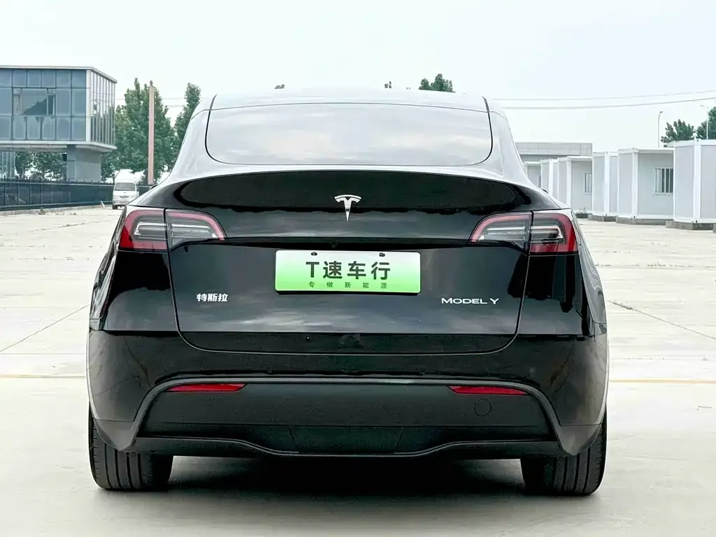 Tesla Model Y — фото 2
