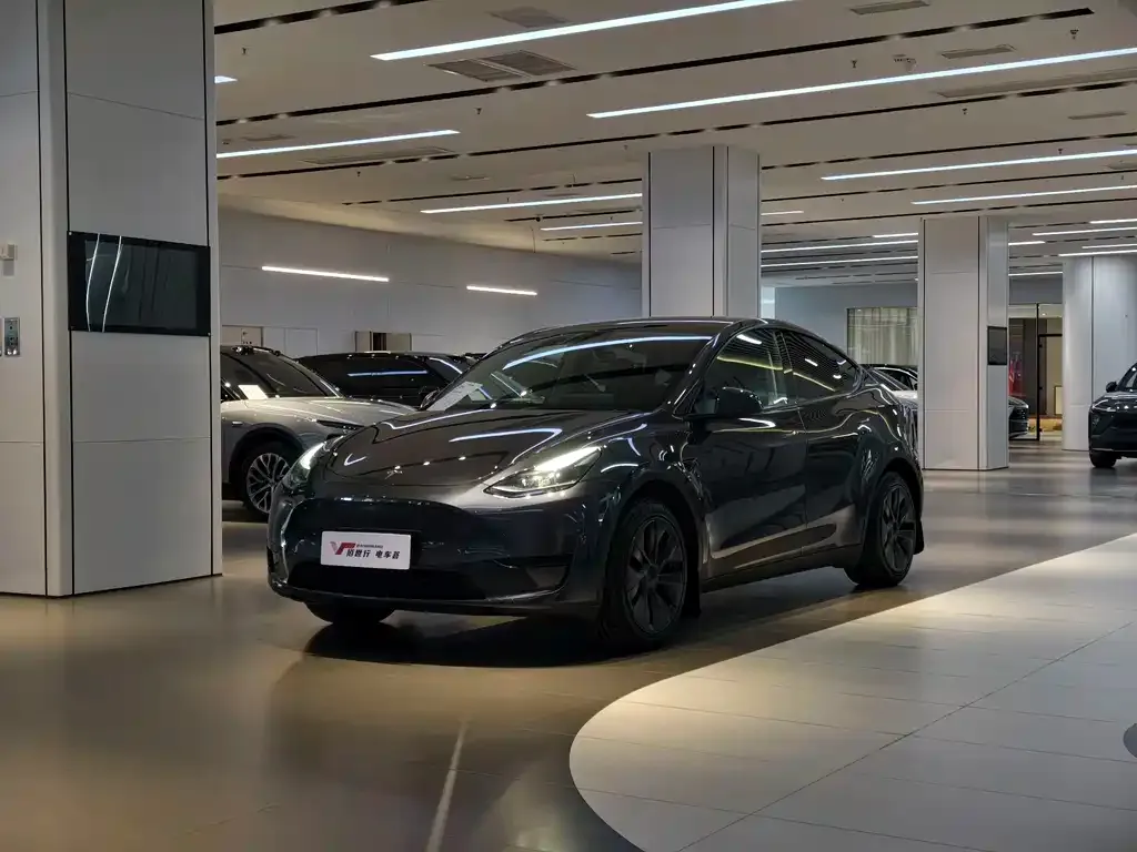 Tesla Model Y — фото 1