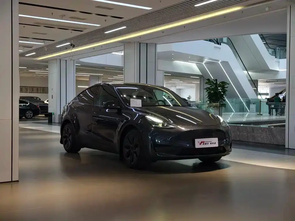 Tesla Model Y — фото 9