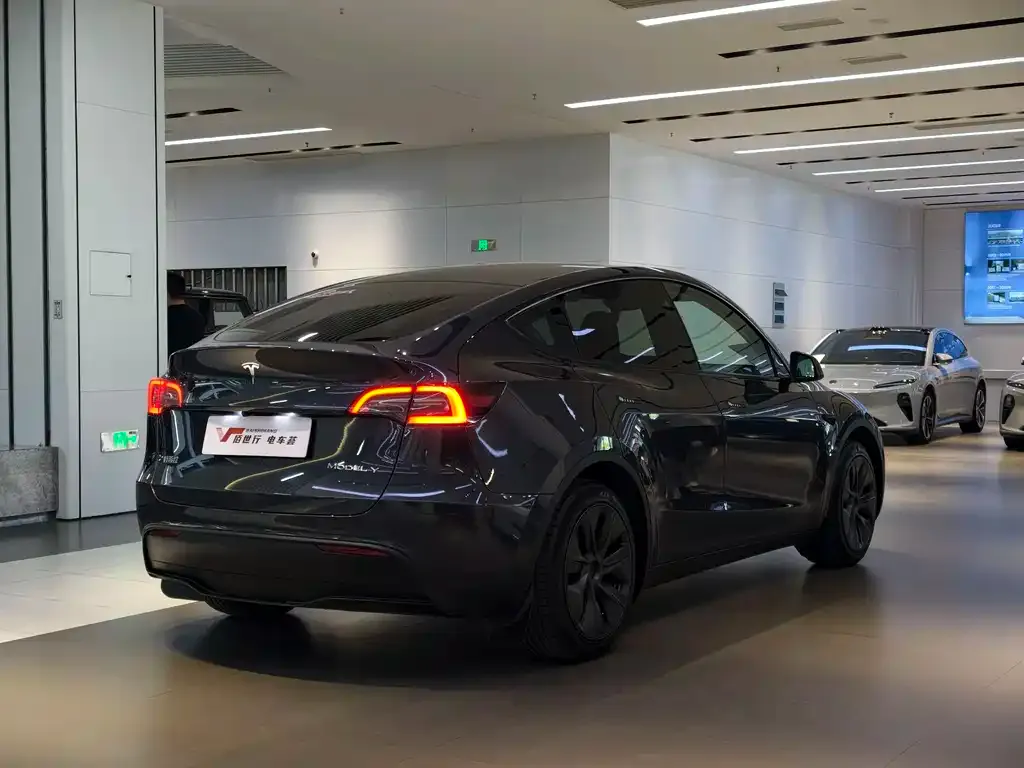 Tesla Model Y — фото 4