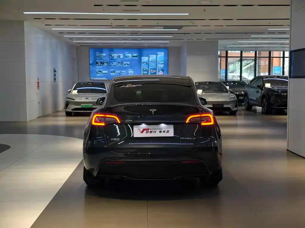 Tesla Model Y — фото 3