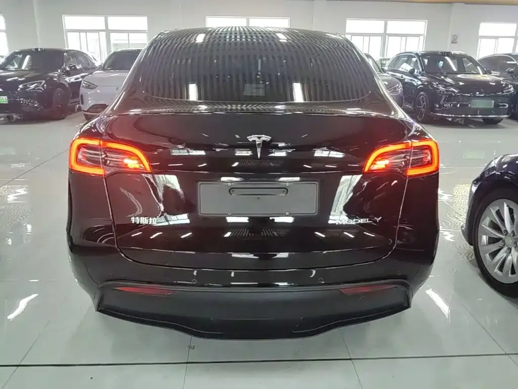 Tesla Model Y — фото 3