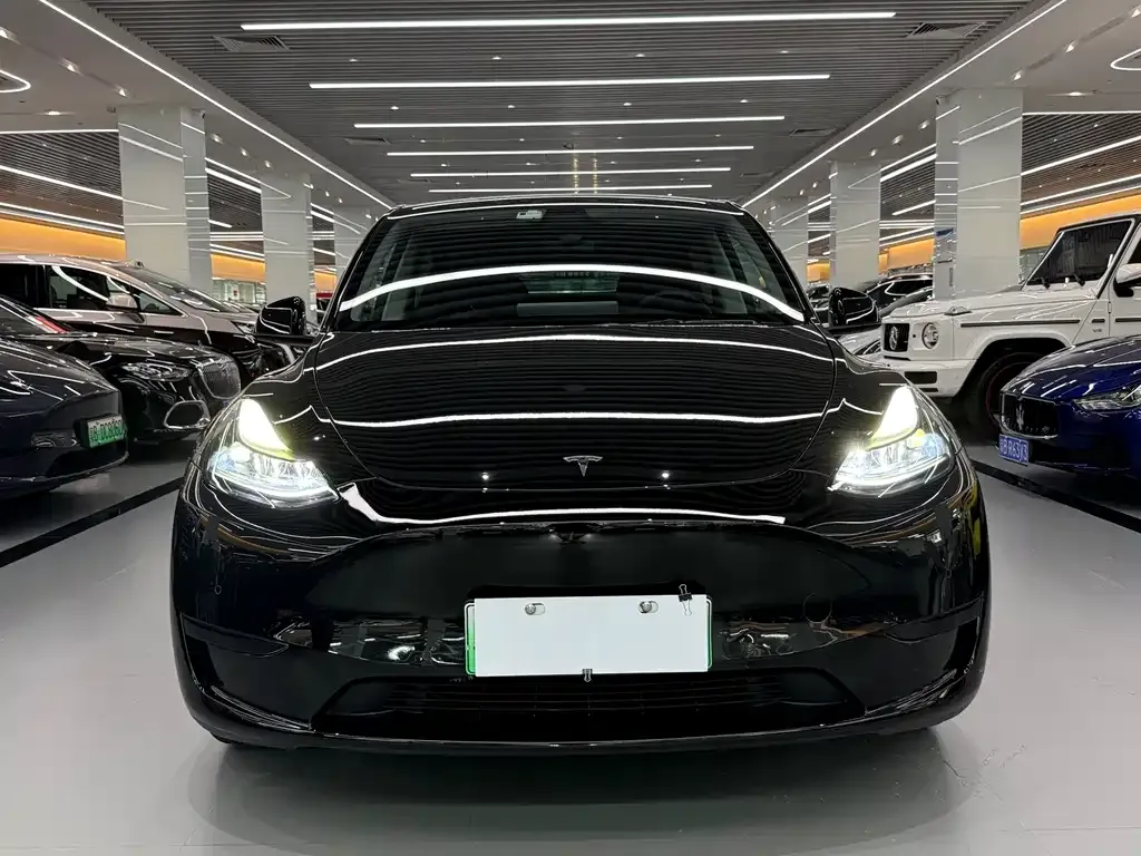Tesla Model Y — фото 10
