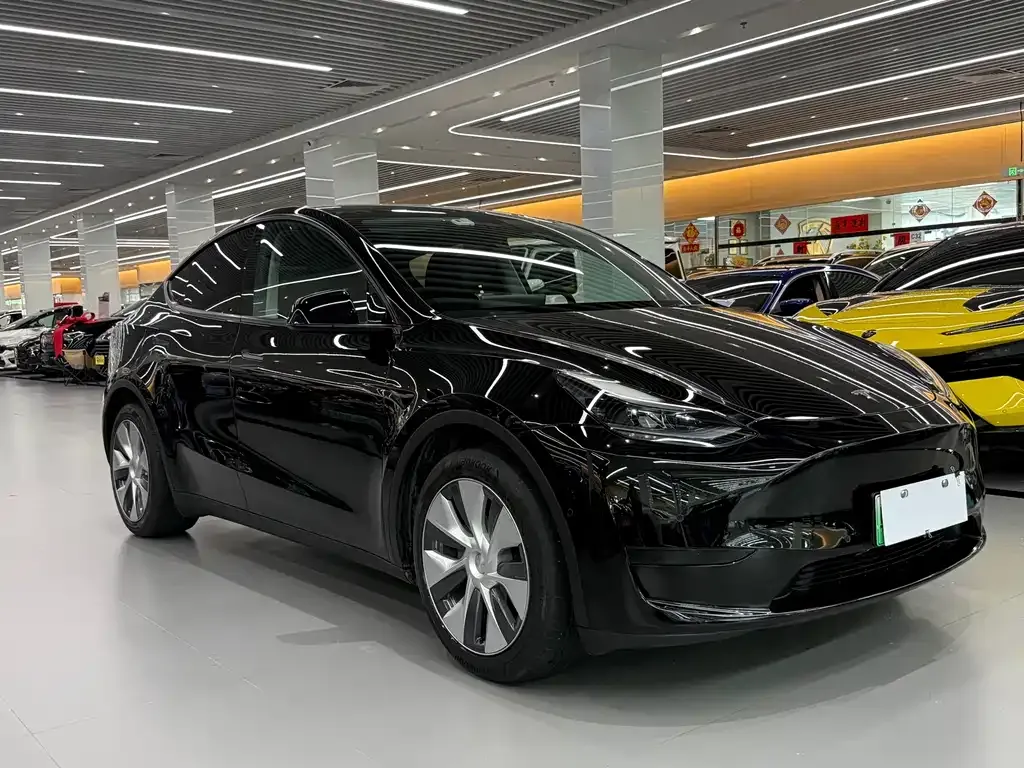 Tesla Model Y — фото 8