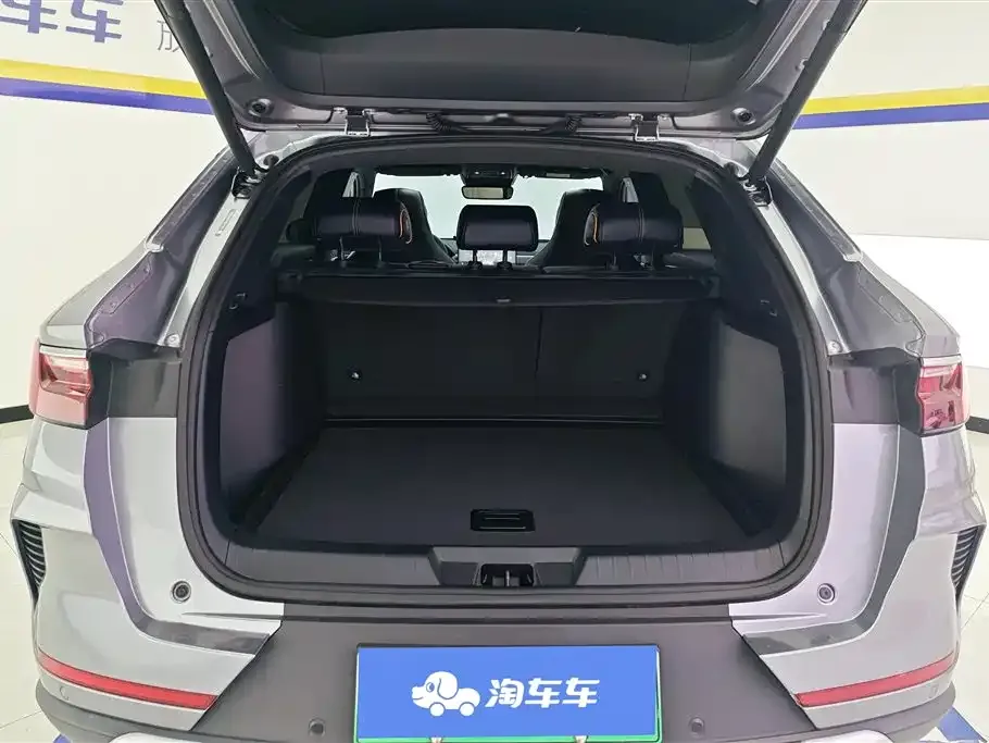 BYD PLUS New Energy — фото 2