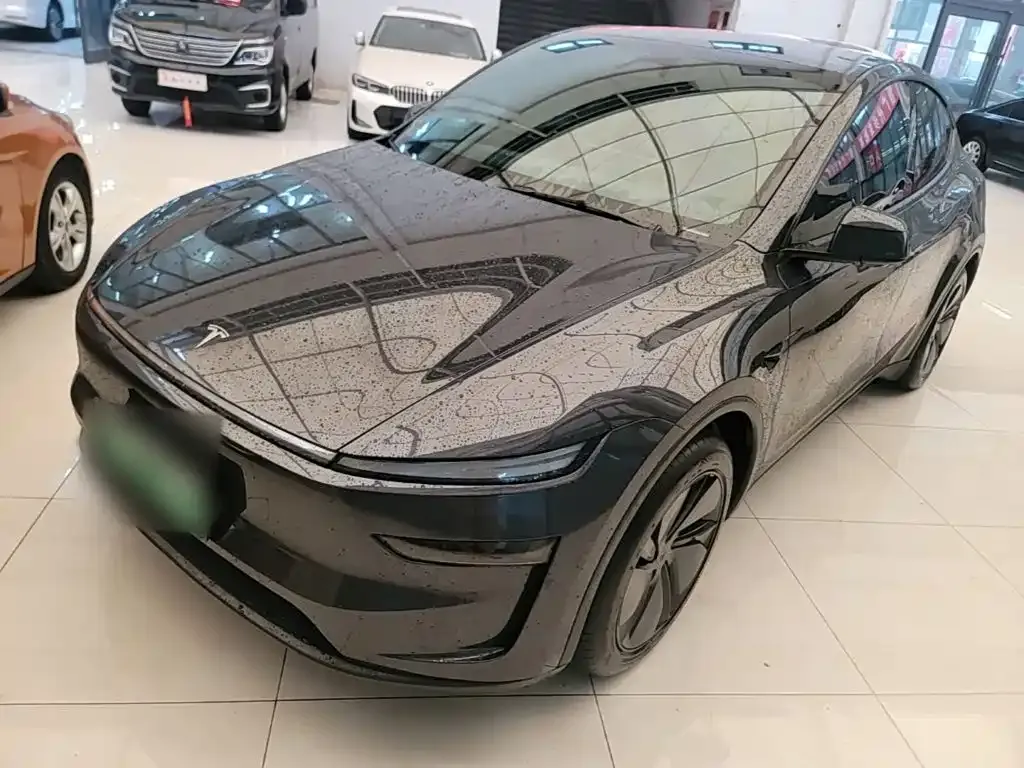 Tesla Model Y — фото 2