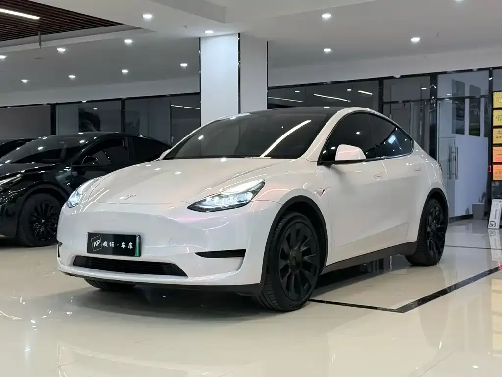 Tesla Model Y — фото 1