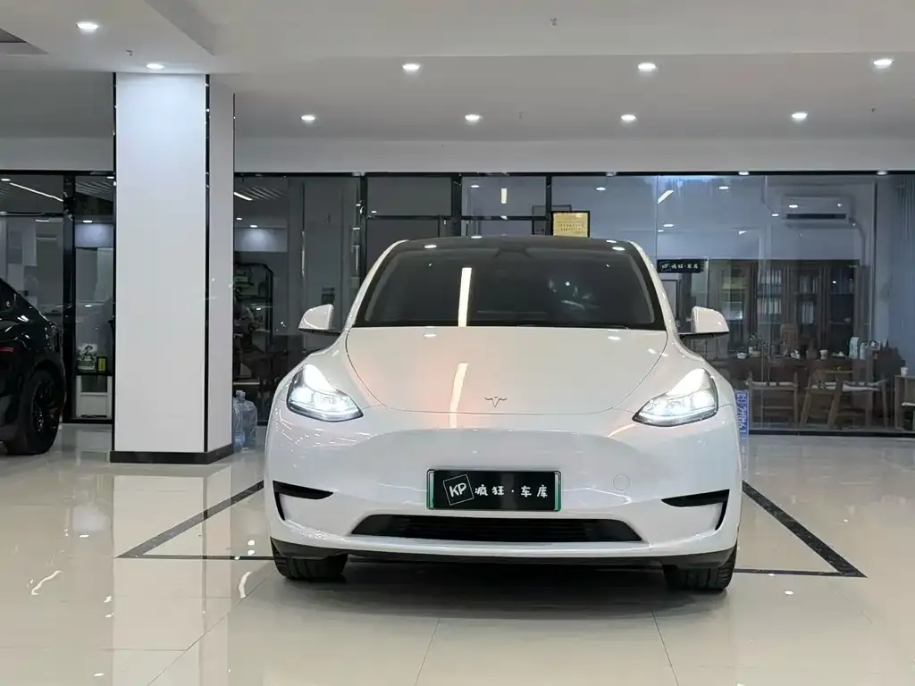 Tesla Model Y — фото 3