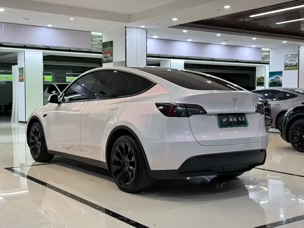 Tesla Model Y — фото 9