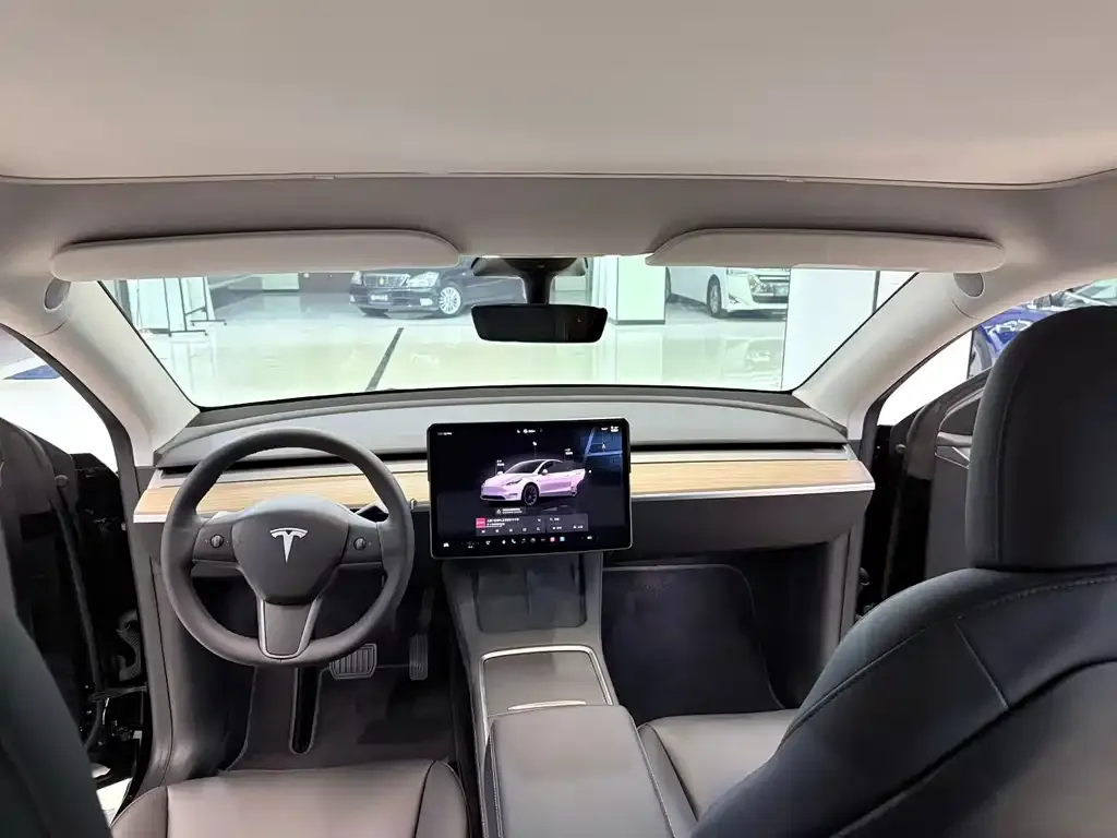 Tesla Model Y — фото 2