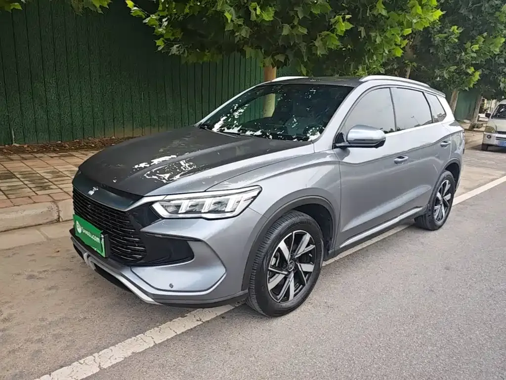 BYD Pro New Energy 2024 из CN, фото 10