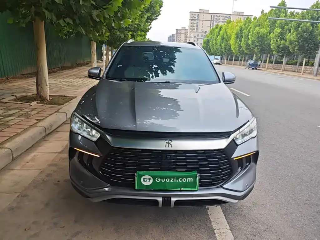 BYD Pro New Energy 2024 из CN, фото 4