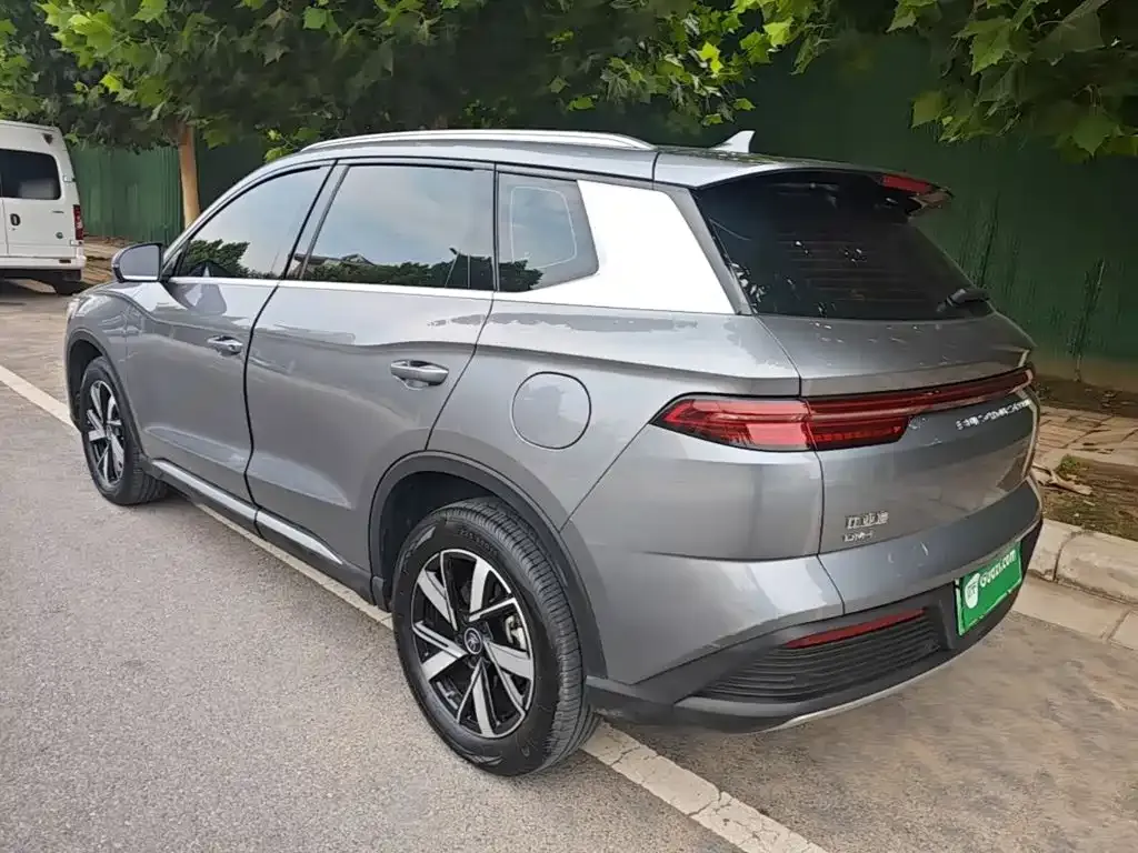 BYD Pro New Energy 2024 из CN, фото 3