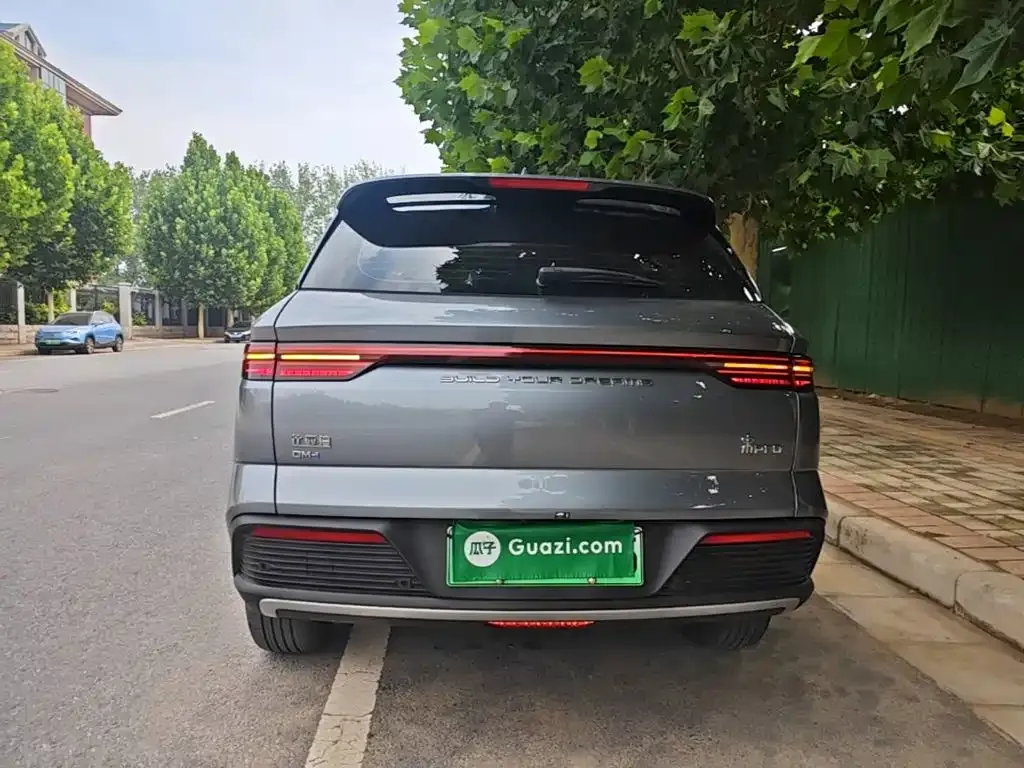 BYD Pro New Energy 2024 из CN, фото 5