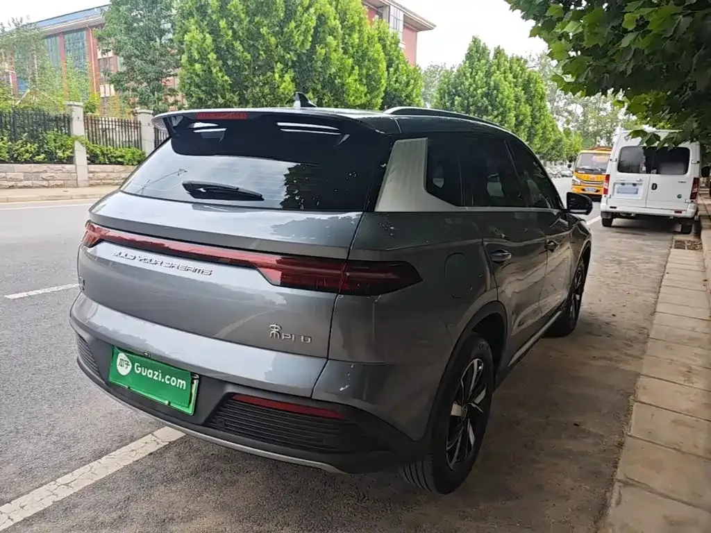 BYD Pro New Energy 2024 из CN, фото 9
