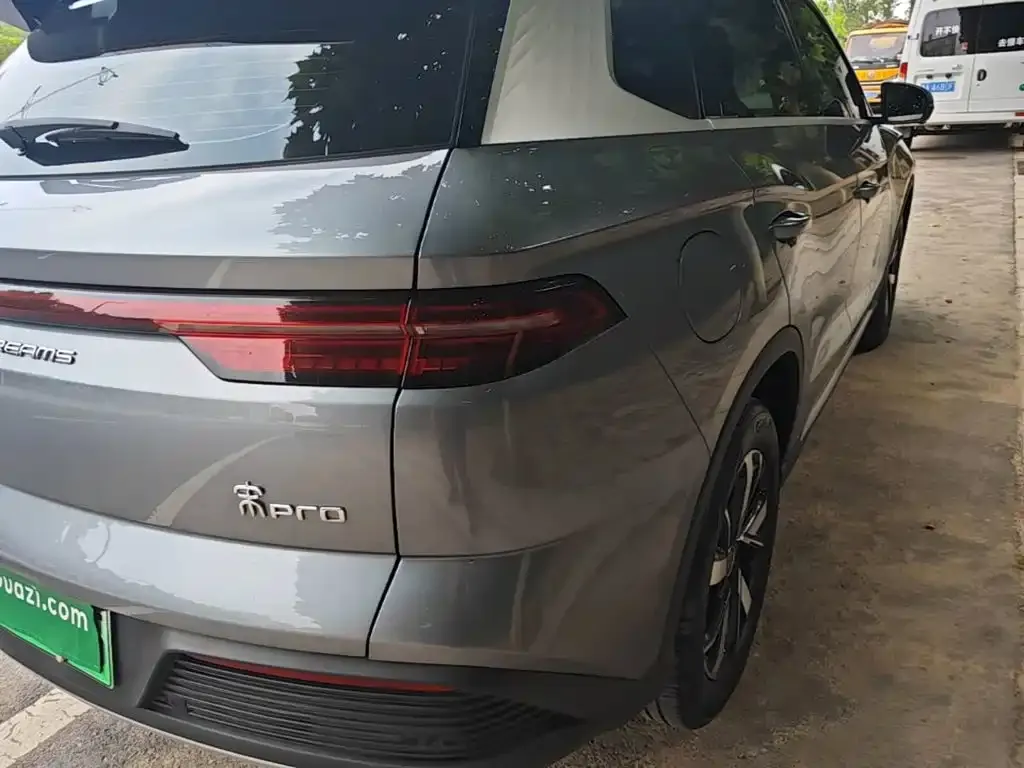 BYD Pro New Energy 2024 из CN, фото 8