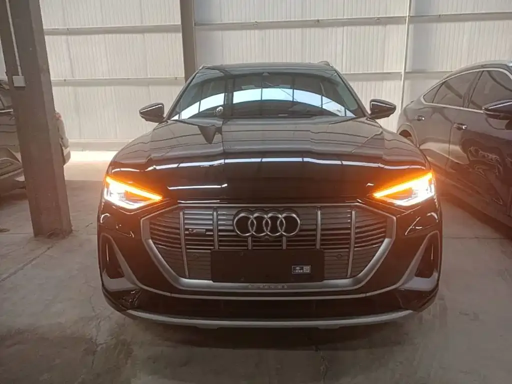 Audi e-tron — фото 10