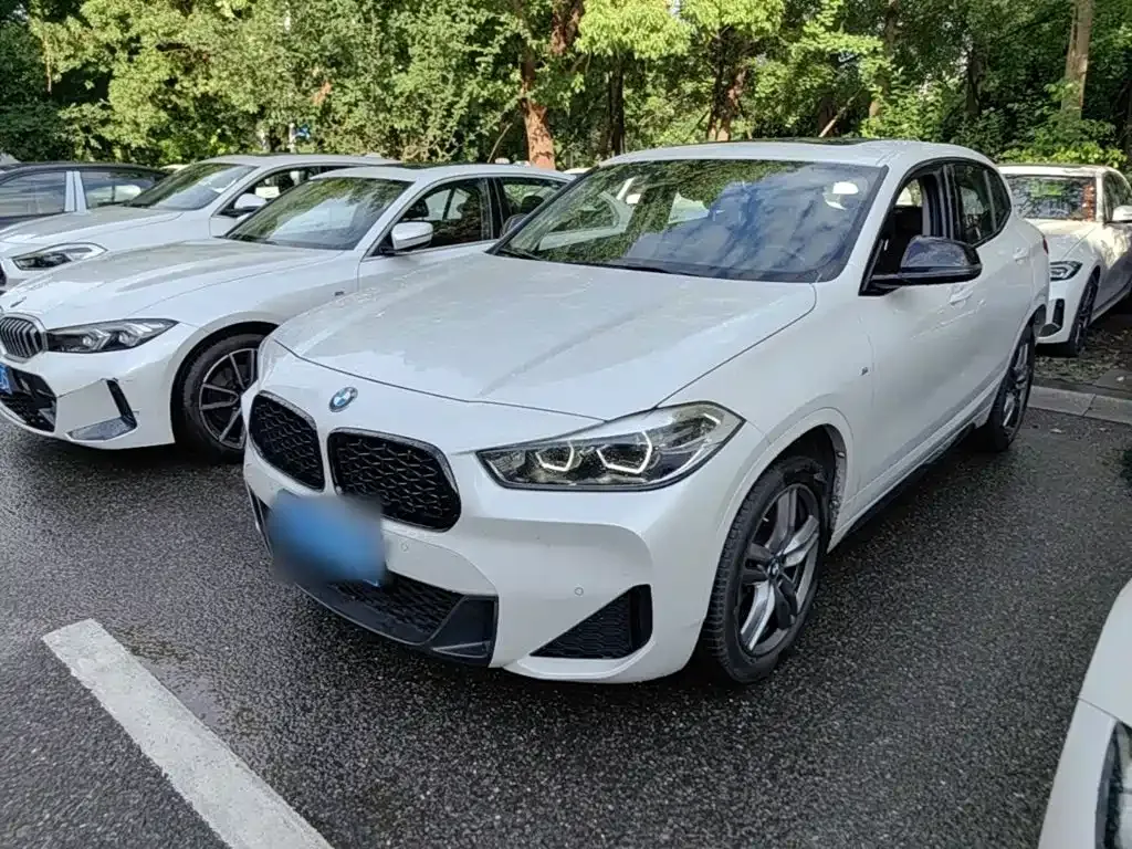 BMW X2 — фото 1