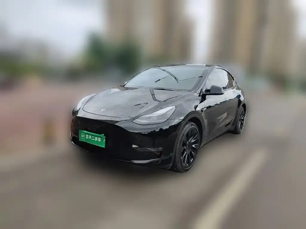 Tesla Model Y — фото 1