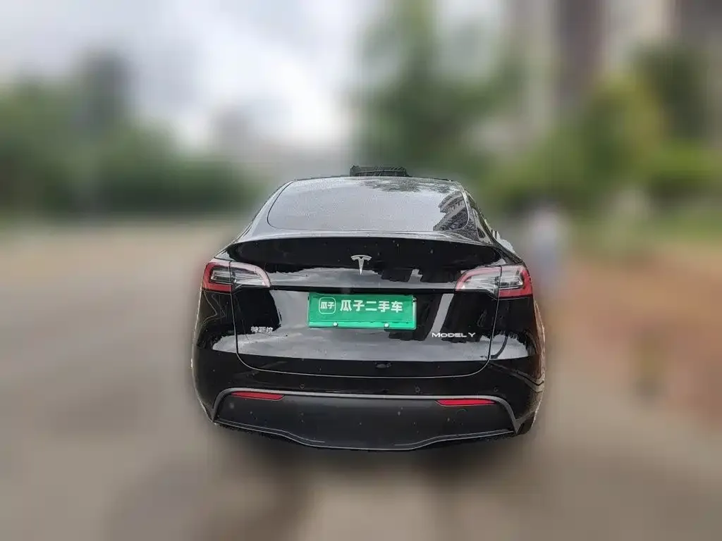 Tesla Model Y — фото 5