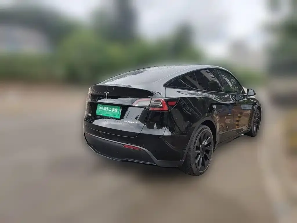 Tesla Model Y — фото 9