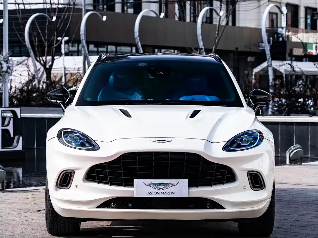 Aston Martin DBX — фото 9
