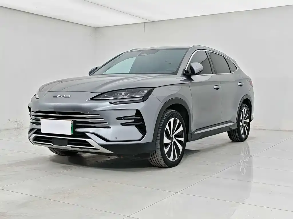 BYD PLUS New Energy — фото 1