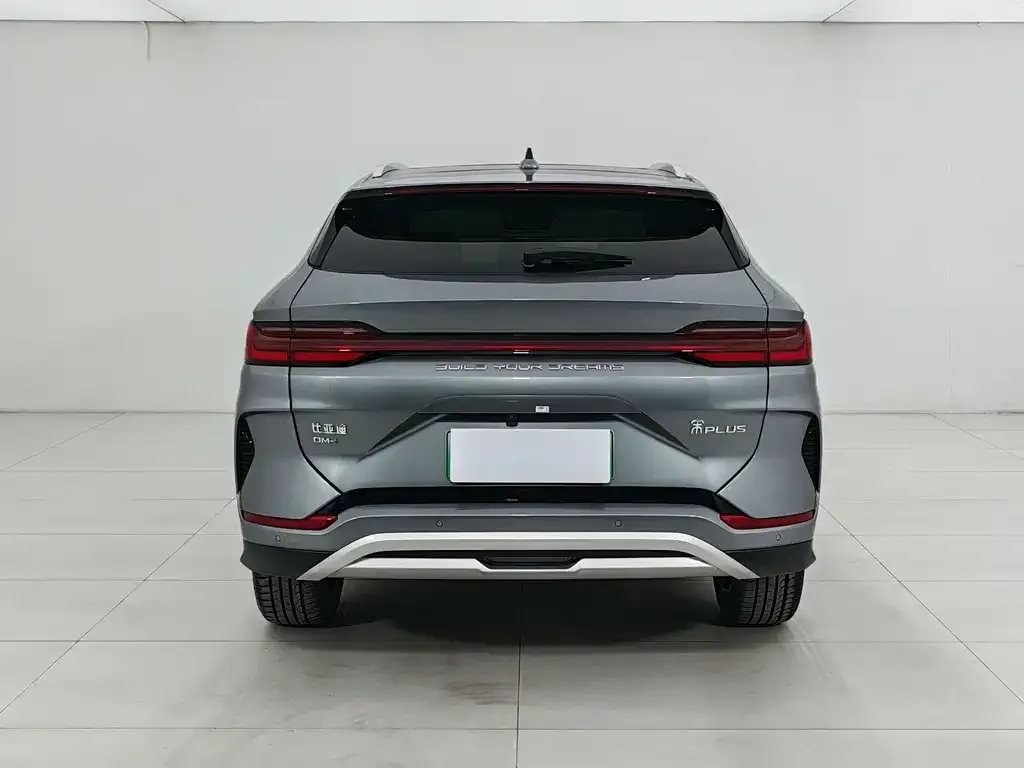 BYD PLUS New Energy — фото 3