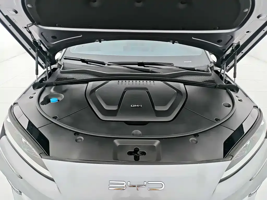 BYD PLUS New Energy — фото 9