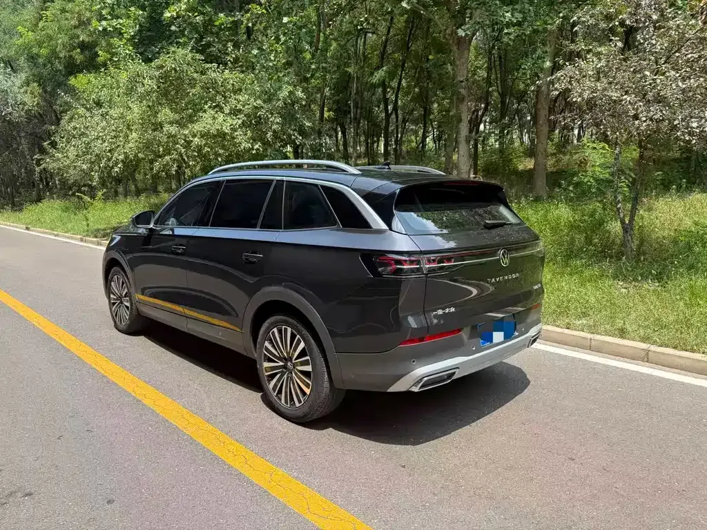 Volkswagen Tavendor 2023 из CN, фото 10