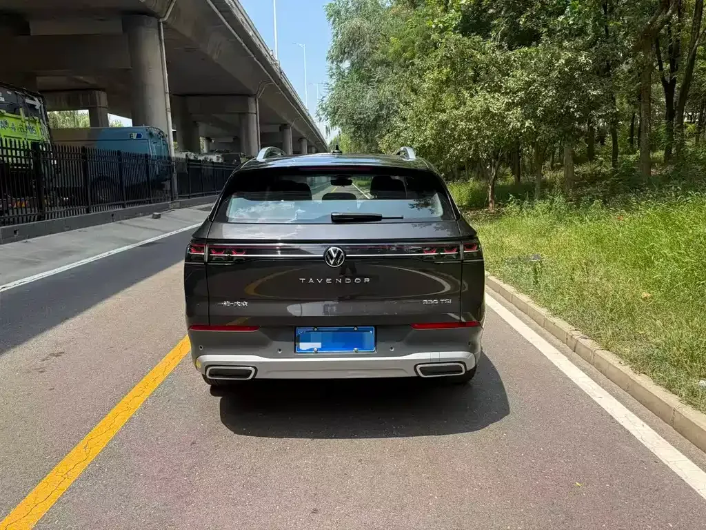 Volkswagen Tavendor 2023 из CN, фото 3