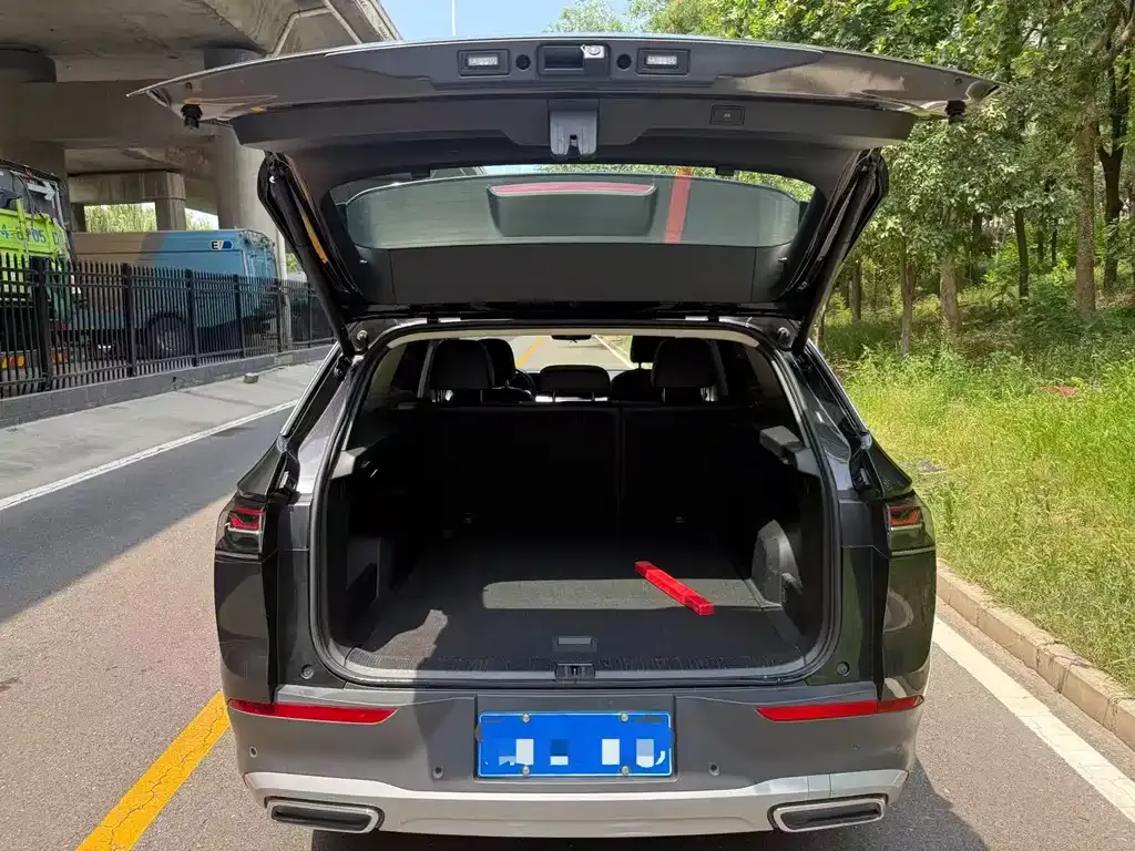 Volkswagen Tavendor 2023 из CN, фото 6