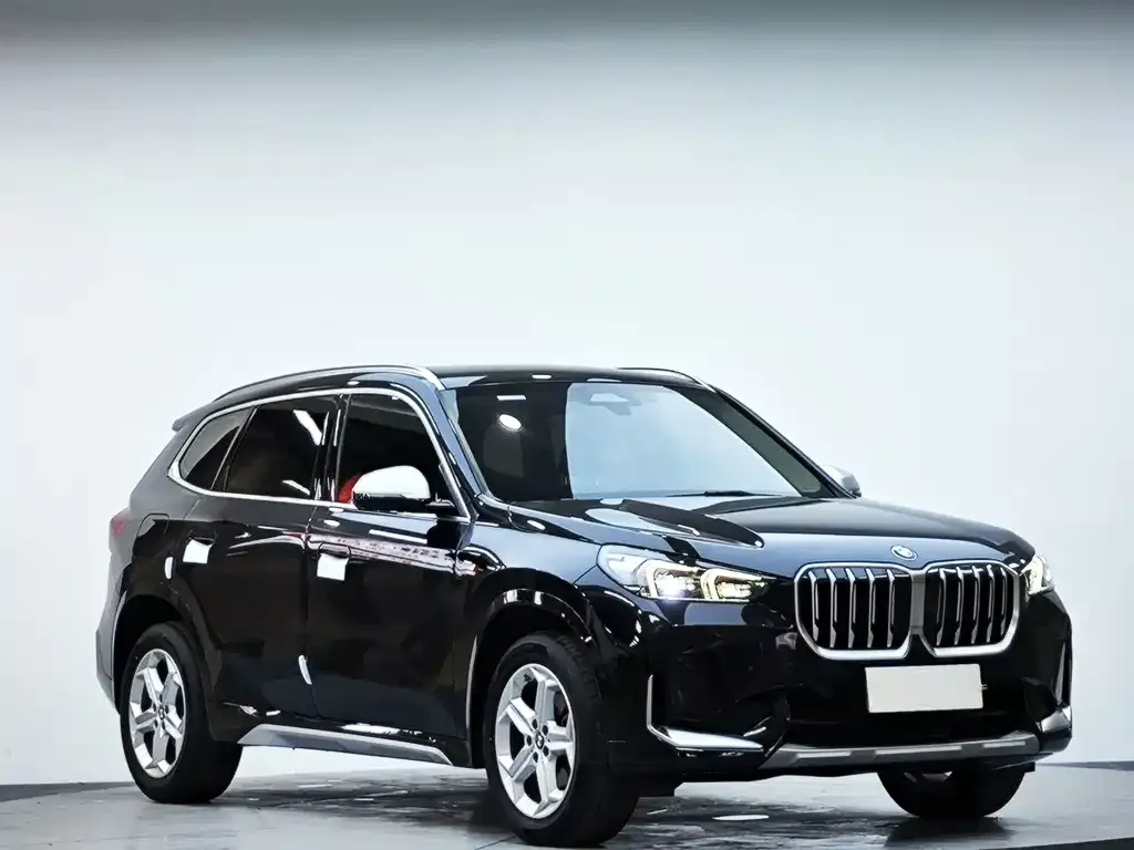 BMW X1 — фото 10