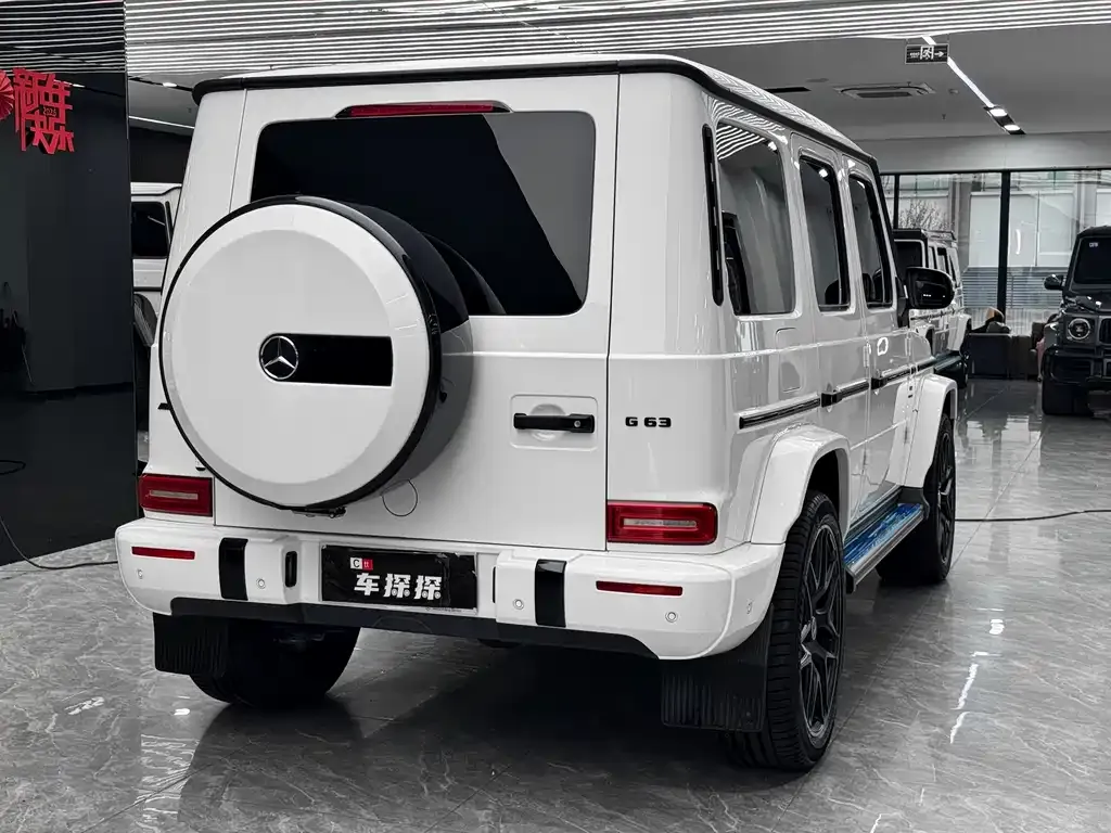 Mercedes-Benz G-Class — фото 8
