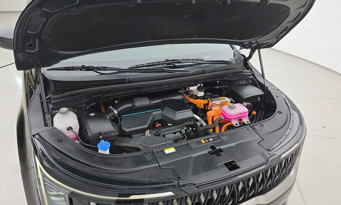 Kia Carnival — фото 10