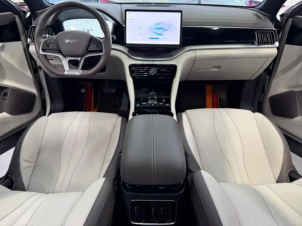 BYD PLUS New Energy — фото 4