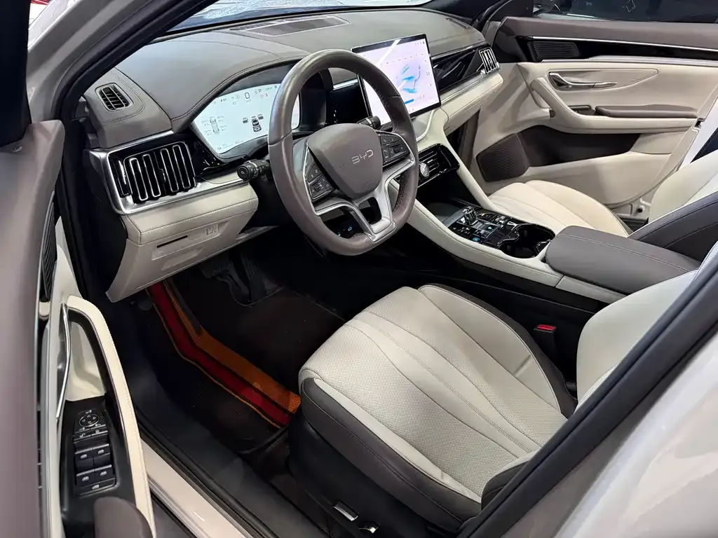 BYD PLUS New Energy — фото 6