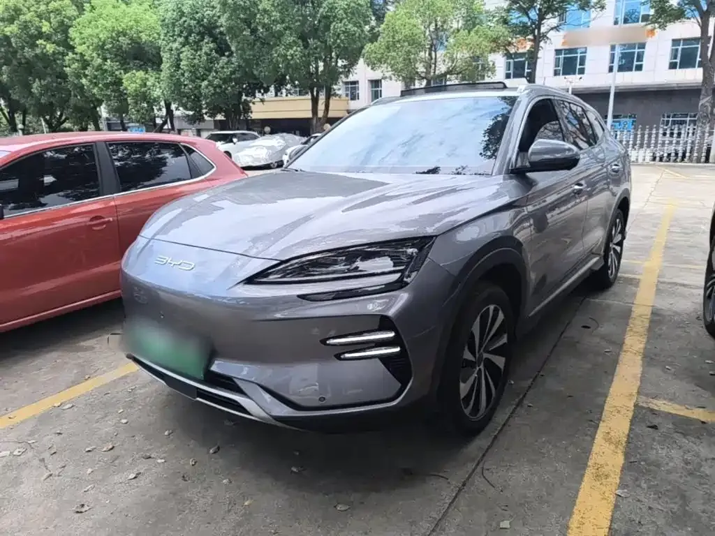 BYD PLUS New Energy — фото 2