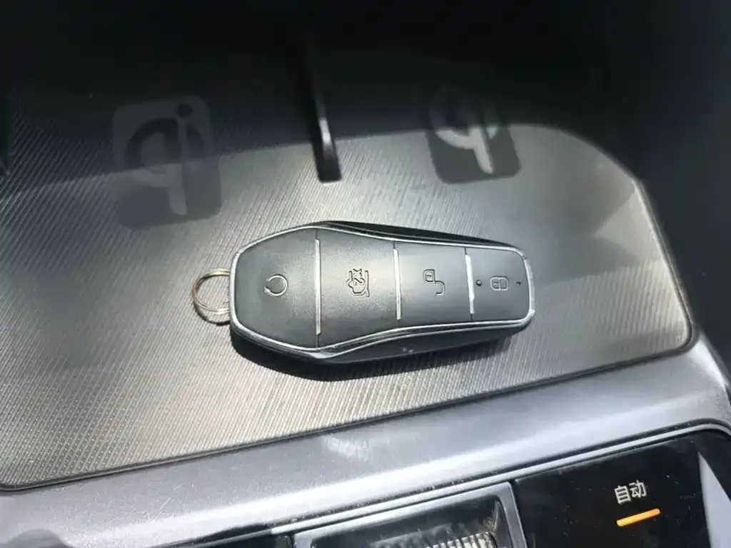 BYD PLUS New Energy — фото 6