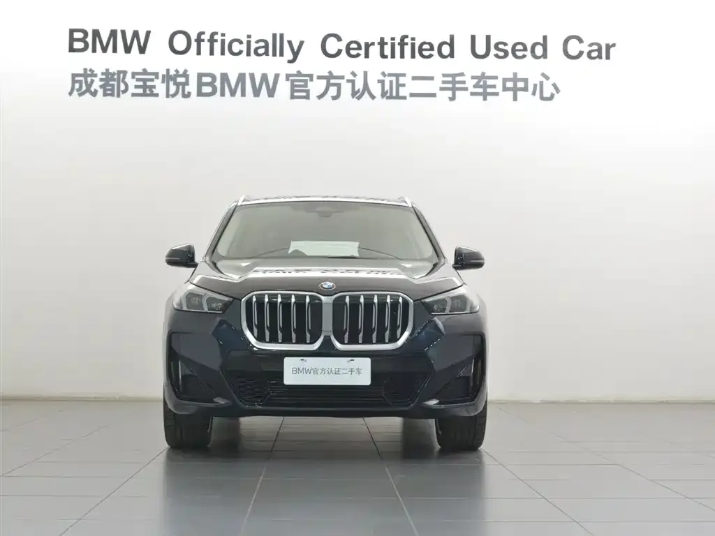 BMW X1 2024 из CN, фото 3