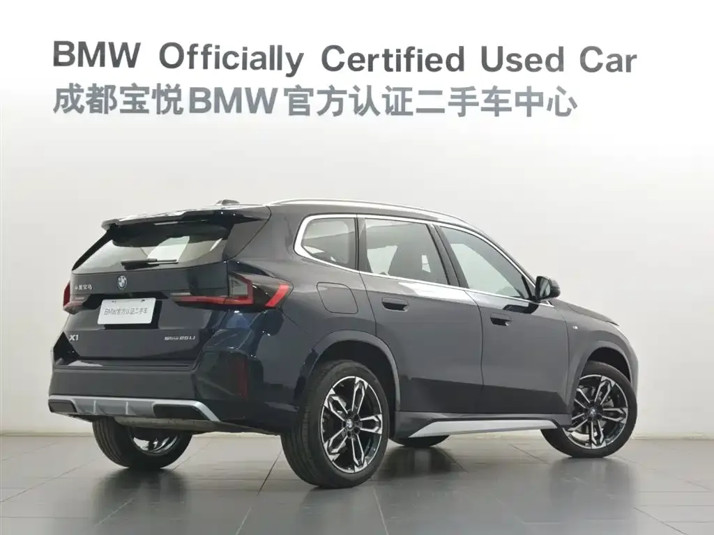 BMW X1 2024 из CN, фото 7