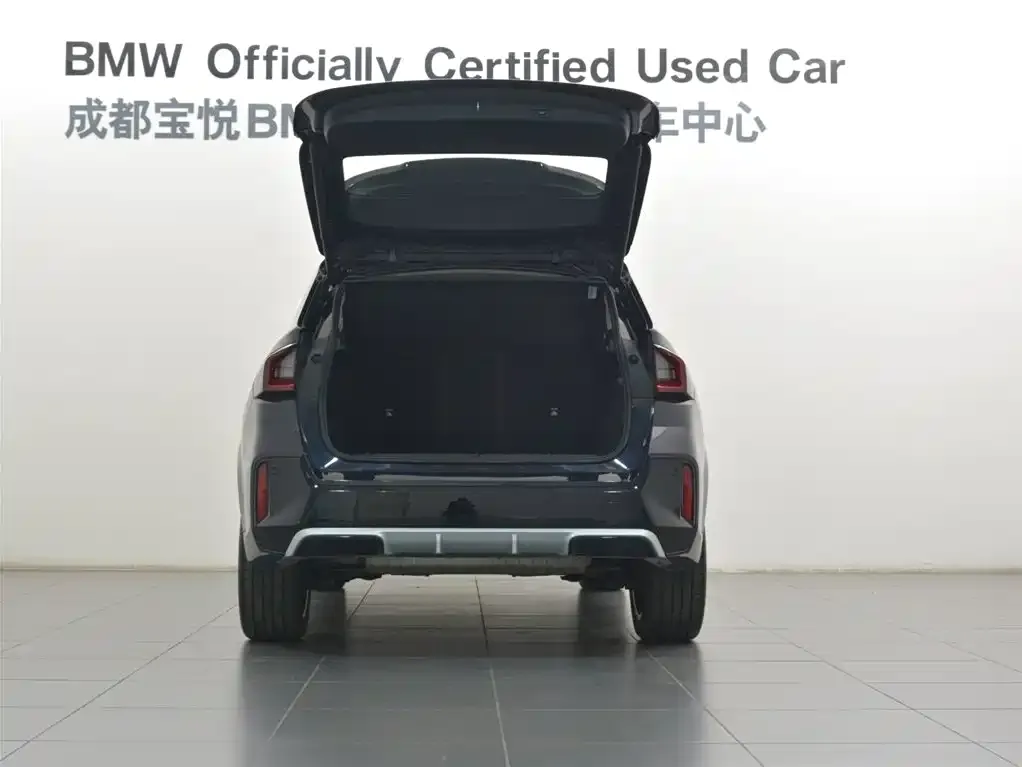 BMW X1 2024 из CN, фото 10