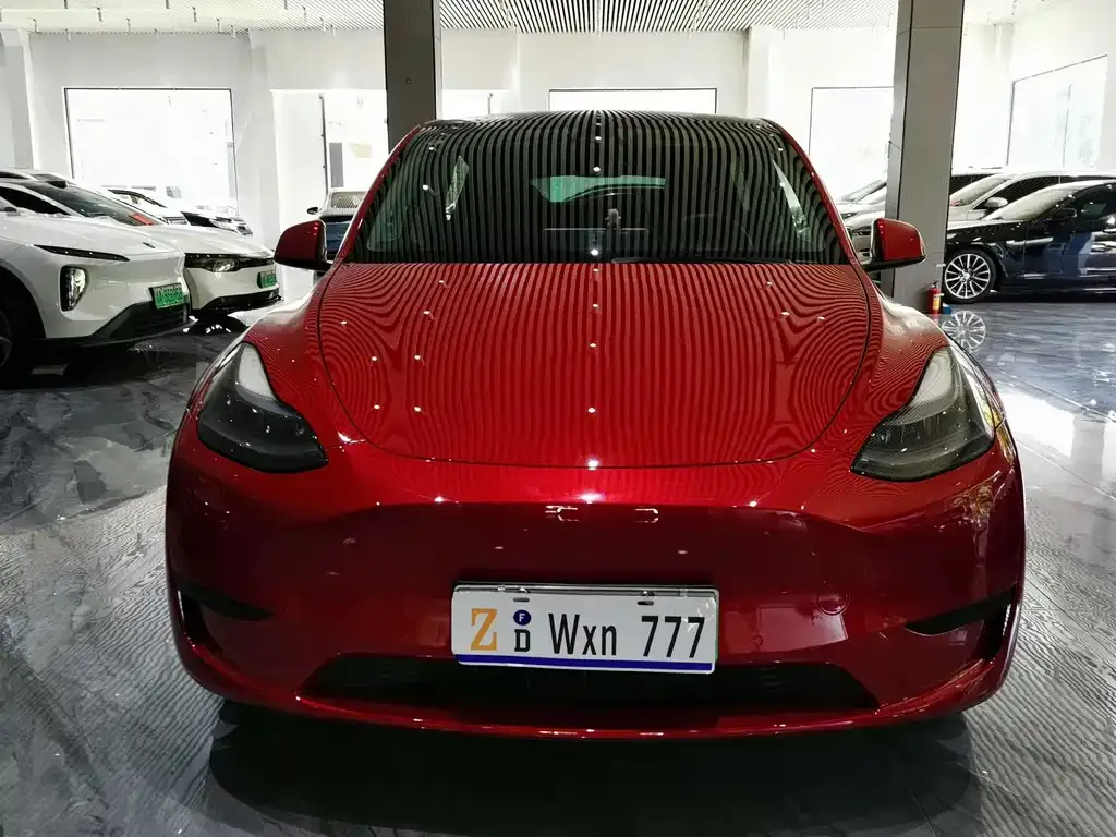 Tesla Model Y — фото 8