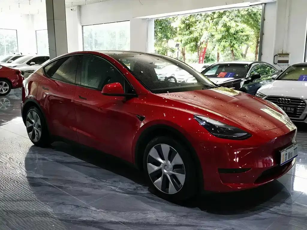 Tesla Model Y — фото 9
