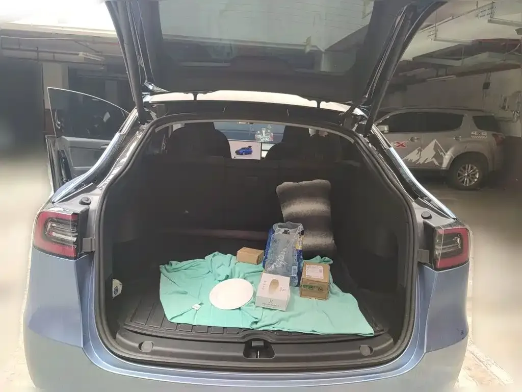 Tesla Model Y — фото 10