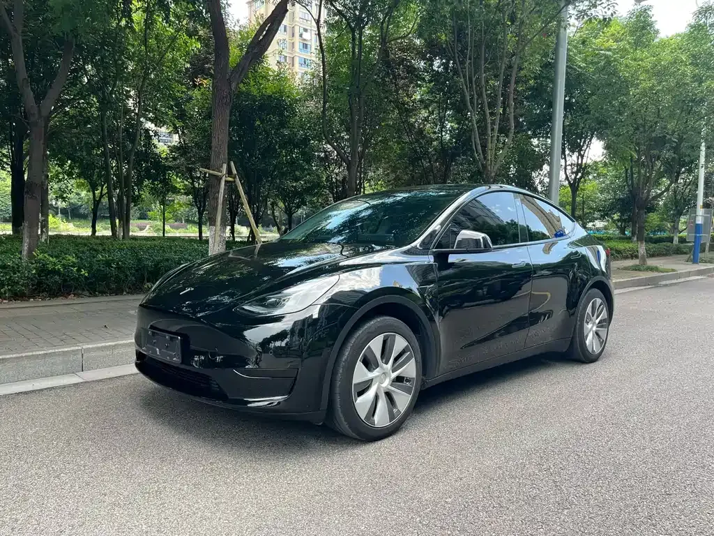 Tesla Model Y — фото 1