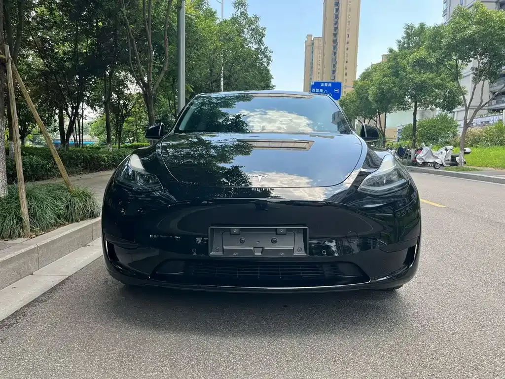 Tesla Model Y — фото 5